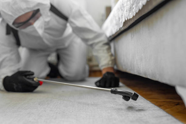 Professional Termite Control technician working in Normandy, MO