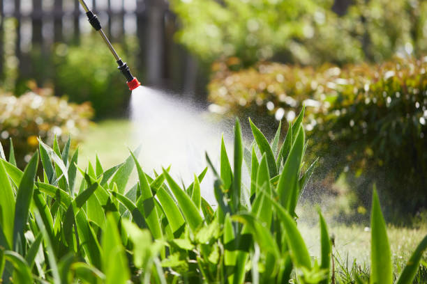 24/7 Emergency Termite Control experts in Normandy, MO