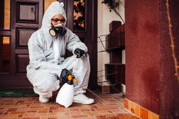 Reliable Termite Control contractor in Normandy, MO by Nex Pest Control